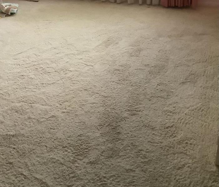 dry carpet