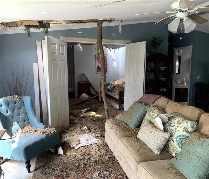 tree coming through living room ceiling after derecho storm
