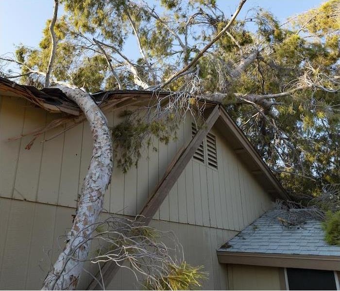 Damaged roof from fallen tree caused by a storm