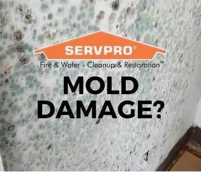 Got mold? Servpro's ready 24/7